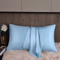Pure Mulberry Silk Pillowcase 100% Natural Silk Pillow Cover 40*60cm 50*70cm Qeen King Size Pillowcase